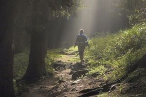 男子山中走失20天奇蹟生還遇到「魔神仔」？可能是身體在求救