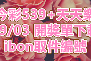 539+天天樂 2018/09/03 開獎單下載 IBON 取單編號