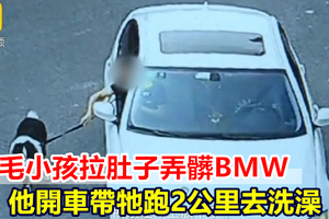 怕毛小孩拉肚子弄髒BMW 他開車帶牠跑2公里去洗澡