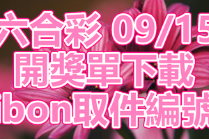 六合彩 2018/09/15 開獎單下載 IBON 取單編號