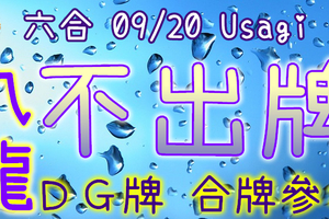 六合彩 09/20 Usagi 九龍 精選低機號碼 供您參考