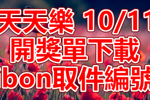 天天樂 2018/10/11 開獎單下載 IBON 取單編號