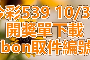 539 2018/10/30 開獎單下載 IBON 取單編號