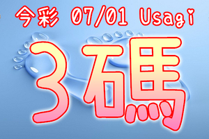 今彩539 2020/07/01 Usagi 精選3碼 全車+連碰 供您參考