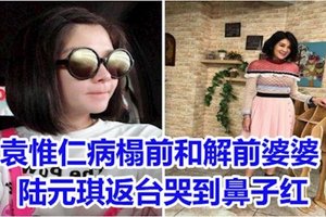 袁惟仁病榻前和解前婆婆 陆元琪返台哭到鼻子红