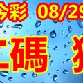 2018/08/29     今彩539  二中一精彩版路   參考參考