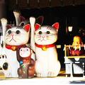 招財貓也能幫你招來好姻緣！深受日本女生歡迎的東京淺草「今戶神社」 