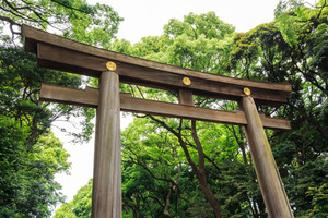 神社和寺廟到底差在哪？去日本神社前必看3大重點，光是祈禱動作就有分！