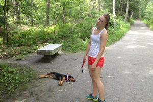 18張狗狗玩累直接倒下的超萌睡姿！尤其最後一張，竟能邊散步邊睡?! 