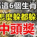 誰屬這6個生肖之一，1月份怎麼躲都躲不過中頭獎！