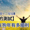 【挺準的測試】測你在狗年有多順利、有多旺、多大吉？來測一測~