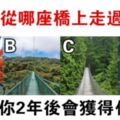 心理測試：你會走哪座橋？測出你2年後會收穫什麼好事？