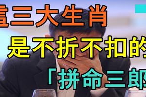 這三大生肖是不折不扣的「拚命三郎」！