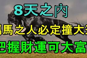 8天之內，屬馬之人必定撞大運，把握財運可大富！