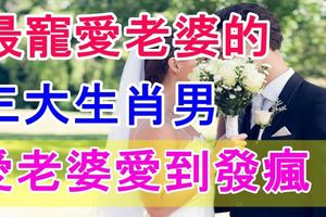 最寵愛老婆的三大生肖男，愛老婆愛到發瘋！