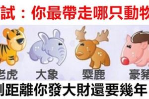 財富測試：你最帶走哪只動物？測距離你發大財還要幾年！