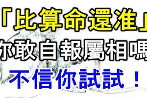 「比算命還准」你敢自報屬相嗎？不信你試試！