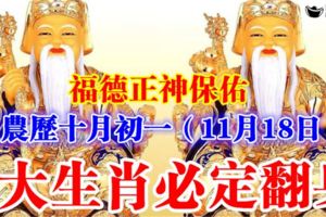 福德正神保佑農曆十月初一（11月18日）8大生肖必定翻身，趕快看看有沒有你？