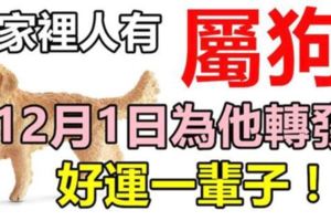 你家裡人有屬狗的嗎，12月1日請為他們轉發，今天開始*好運一輩子*！