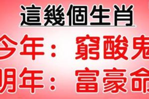 這幾個生肖，今年窮酸鬼，明年富豪命！