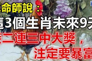 算命師說：這3個生肖，未來9天接二連三中大獎，註定要暴富！