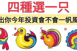 心理測試：四種選一隻，測出你今年投資會不會財源滾滾一帆風順？