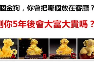 4個金狗，你會把哪個放在客廳？測你5年後會大富大貴嗎？