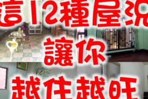 不看後悔!這12種屋況讓你越住越旺！必須知道！分享出去吧！