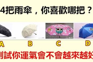 4把雨傘，你喜歡哪把？測試你運氣會不會越來越好