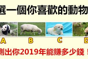 選一個你喜歡的動物，測出你2019年能賺多少錢！