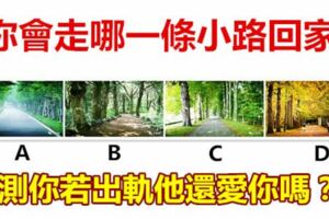 你會走哪一條小路回家，測你若出軌他還愛你嗎？