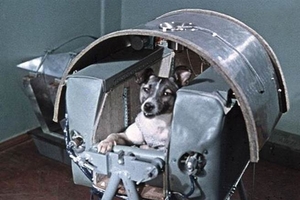 首隻上太空的狗！死狀卻被隱瞞60年！！他死得太慘了…