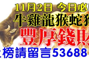 11月2日牛、雞、龍、猴、蛇、狗！上榜請留言53688【豐厚錢財】