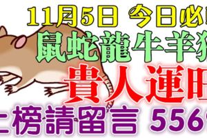 11月5日鼠、蛇、龍、牛、羊、猴！上榜請留言5569【貴人運旺】