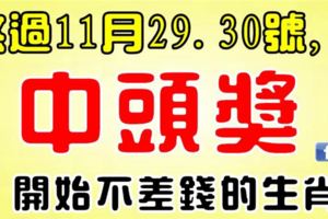 熬過11月最後兩天，開始不差錢的生肖，第一次中獎就是頭獎！