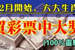 12月開始，六大生肖橫財入命，買彩票可以中大獎！