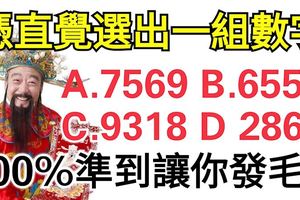 超准！快來測測12月你有多少財運！憑直覺選出一組數字！准到你發毛！