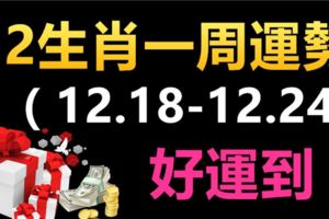 董易奇12生肖一周運勢（12.18-12.24）