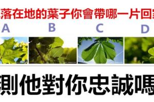 4片掉落在地的葉子你會帶哪一片回家，測他對你忠誠嗎