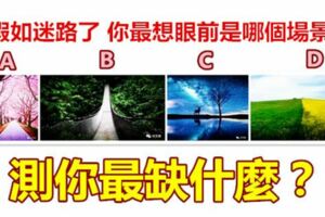 假如迷路了你最想眼前是哪個場景？測你最缺什麼？