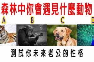 心理測試：森林中你會遇見什麼動物，測試你未來老公的性格？