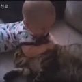 小婴儿咬了这只猫咪，结果猫咪的反击让所有人都Oh~了一声!
