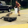  這三個喝醉的男人在路上看到鱷魚打算徒手和牠決鬥...下場相當悲劇	