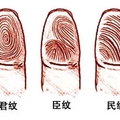 你的指紋幾個斗決定你是富貴命還是貧窮命，准爆了...