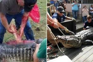 這男人跳水池遭鱷魚生吞，但這隻鱷魚的下場讓所有人都非常憤怒！