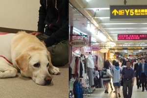 導盲犬不小心忍不住尿尿自責中,店家卻做出「這種事情」!!!其他店家難道也會嗎??