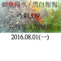 8月1日  今彩539  如魚得水  黑白報報