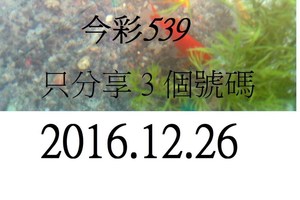12月26日 今彩539如魚得水，黑白報報