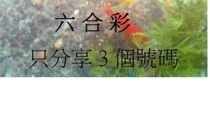 12月3日  六合  如魚得水  黑白報報