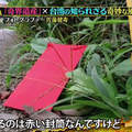讓日本人震驚的《台灣紅包袋禁忌》結果很多台灣人也都不知道？
